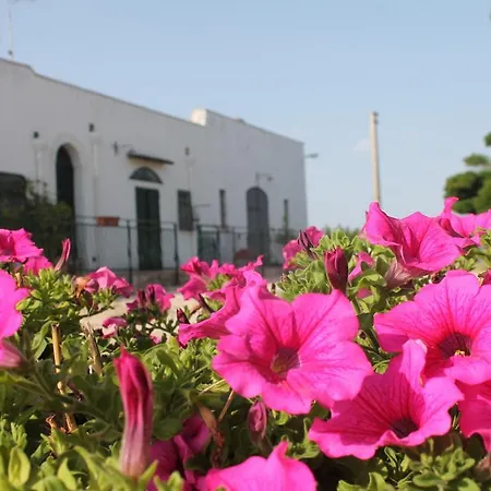 فندق مبيت وإفطار Masseria Cappotto لاتيرزا