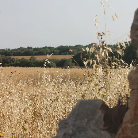 Masseria Cappotto Bed and Breakfast 3*