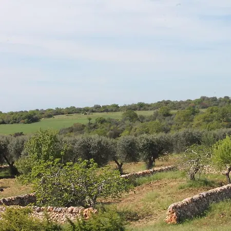 فندق مبيت وإفطار Masseria Cappotto لاتيرزا