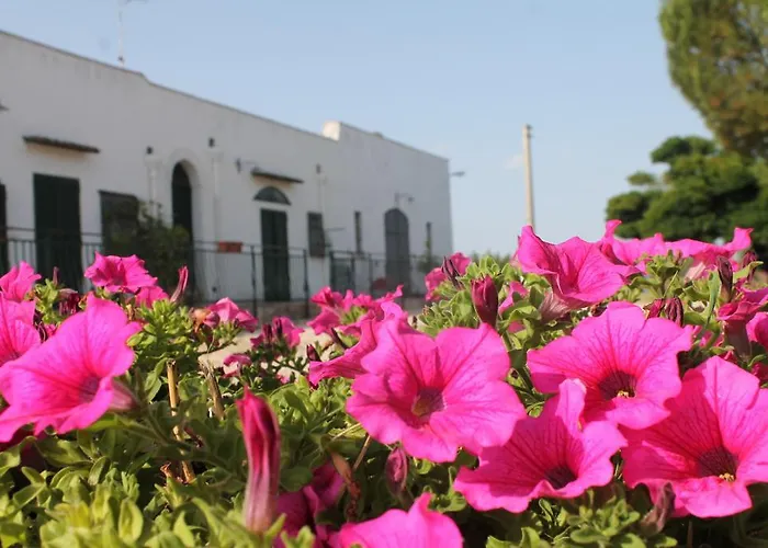 فندق مبيت وإفطار Masseria Cappotto لاتيرزا