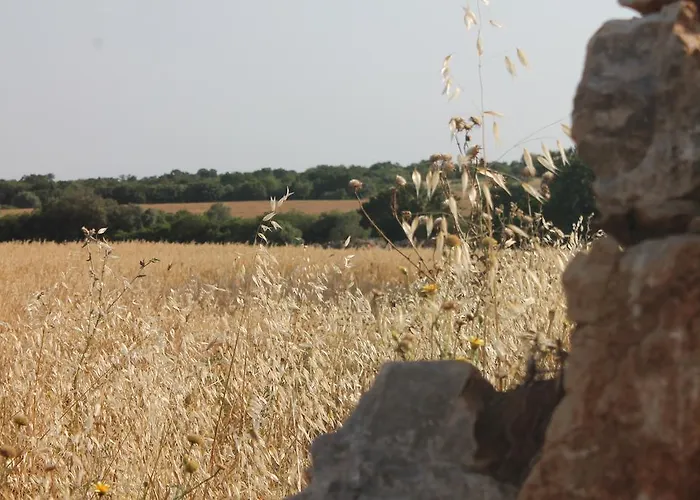 Masseria Cappotto Bed & Breakfast 3*